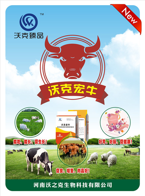 繁殖母牛的日常饲养管理技术，这些你要知道