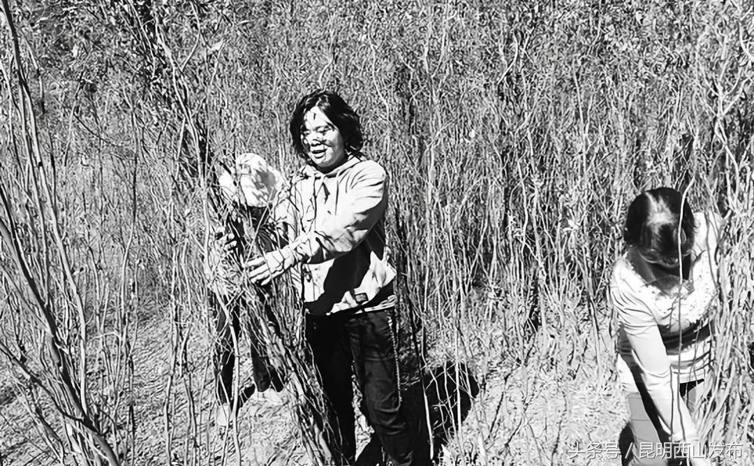 电商服务！将西山区团结街道的“山货”卖到了迪拜