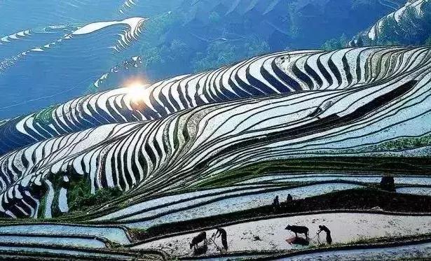 对不起我要去珠海买房,对不起我要去刺猹了