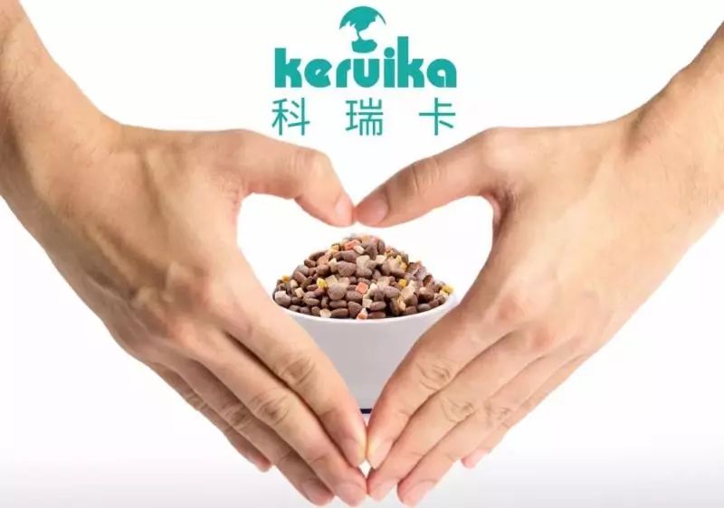 选购博美犬的3点基本常识,博美犬的基本知识