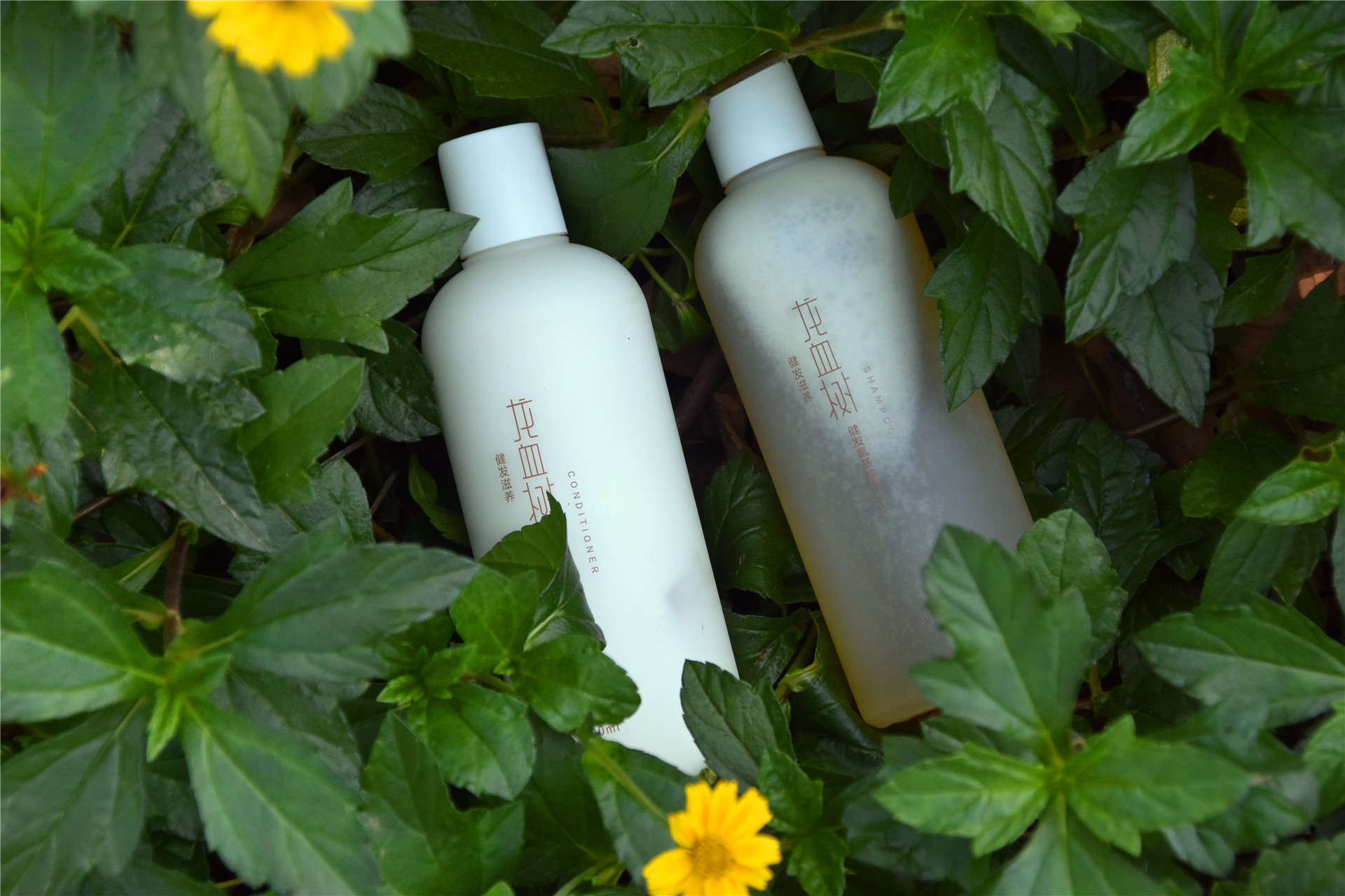 麒麟竭焕颜龙血精华,麒麟竭提取物护肤功效