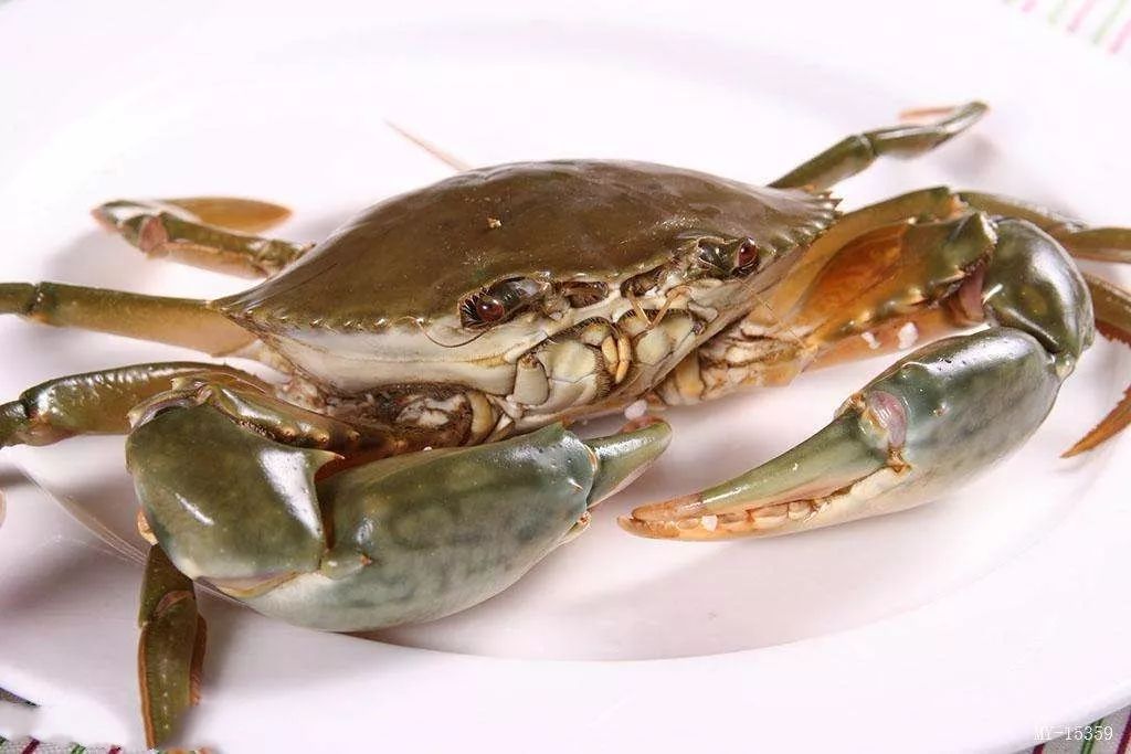 买回来的螃蟹变颜色了还发臭,买来活螃蟹10小时后冷冻是否能吃