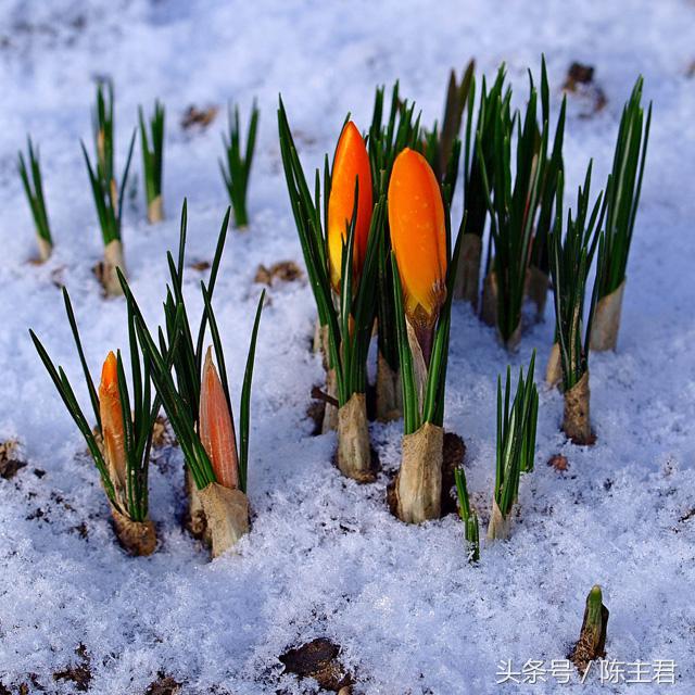 70张让人大开眼界的照片,50张让人惊艳的照片