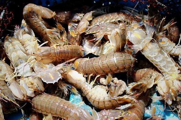 闺蜜的看海之旅，三亚自由行攻略