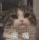 苹果applewatch第一代发布会,苹果发布会2018macbookair