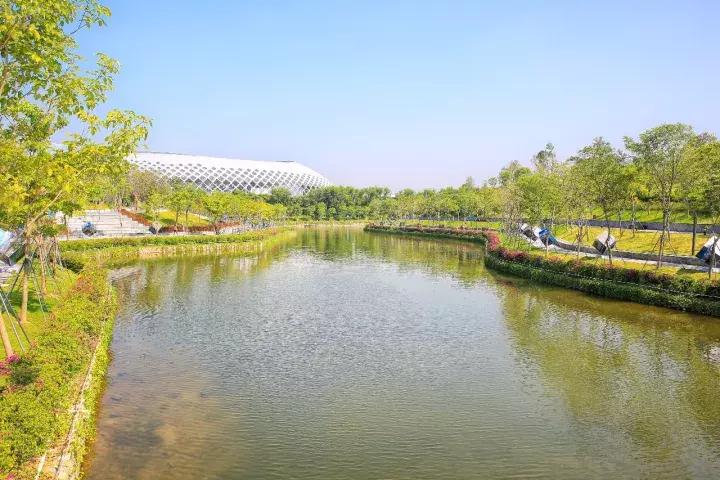 向世界推介深圳,深圳向世界发出邀请