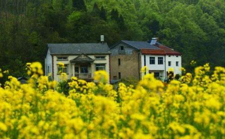 农村宅基地的确权证怎么办理,宅基地怎么办理土地使用证