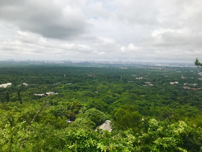 海口的特色美食有哪些,海口有哪些特色美食