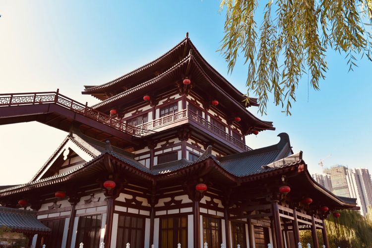 秋到上阳宫，黄叶蓝天高宫阙，皇帝都赞的美景，免费你都没去看？