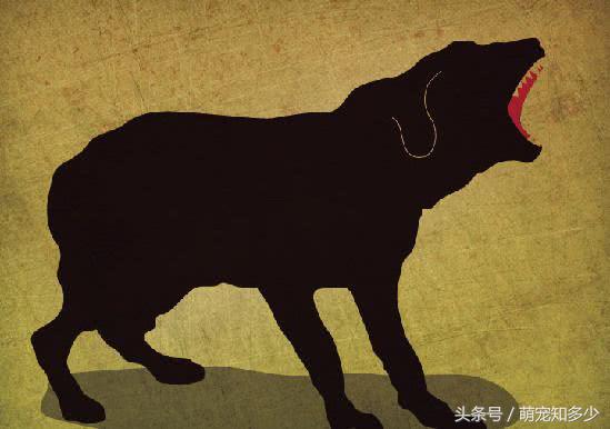 为什么有人说狂犬病可以治好,为什么说狂犬病发作后无药可救