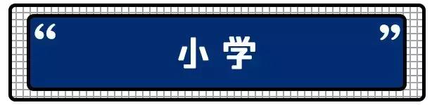 南京市国际贵族学校,南京土豪小学排行榜