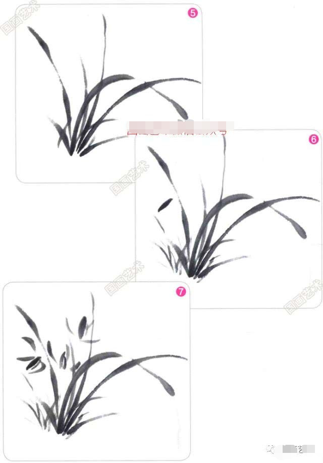 写意兰花的基本画法视频,写意兰花的画法技法视频