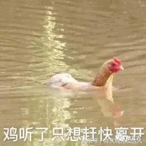 tf新品皮气垫,tf白气垫和ysl粉气垫