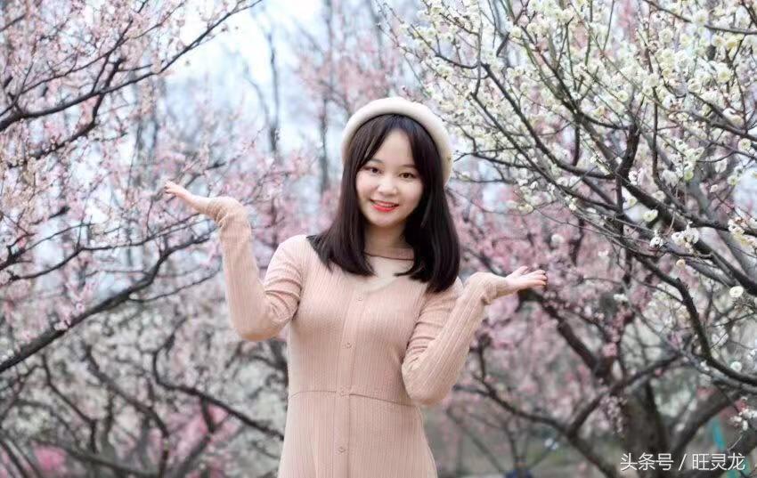 佳能eos最适合新手的单反相机,佳能eos相机哪个型号好