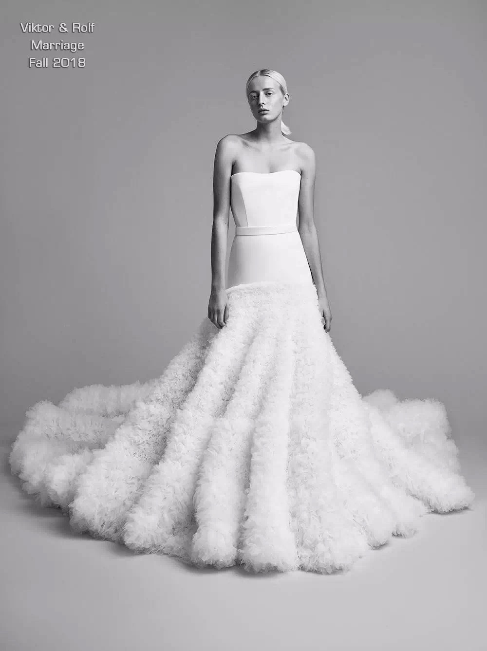 唐嫣罗晋婚礼美照,唐嫣罗晋婚礼晚宴现场曝高清图