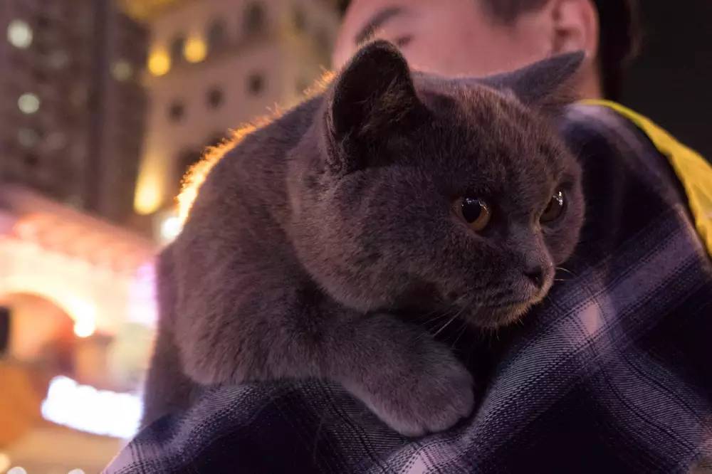 松下lx10徕卡镜头,松下lx10和佳能m50