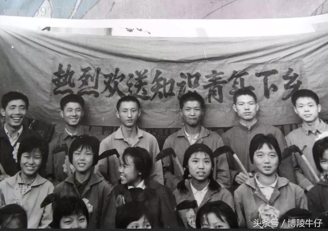 六十年代打鸡血是真的吗,六七年代打鸡血