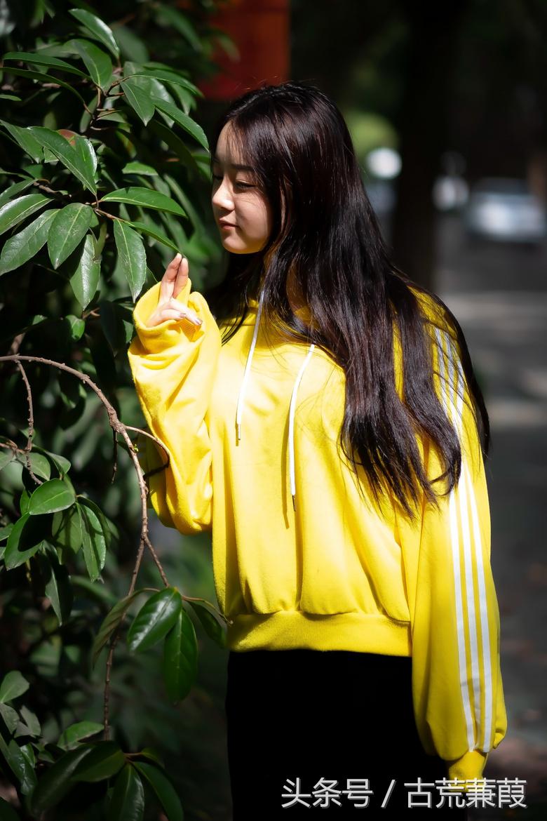 也曾风雨入窗帷，多年往事堪忘记