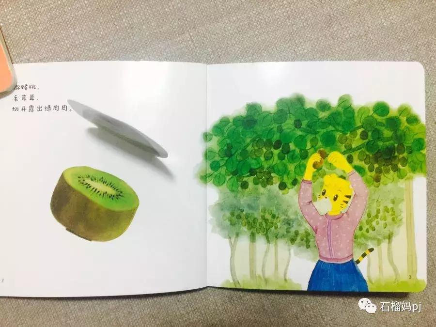 巧虎官网乐智小天地订购,巧虎乐智小天地订购价格