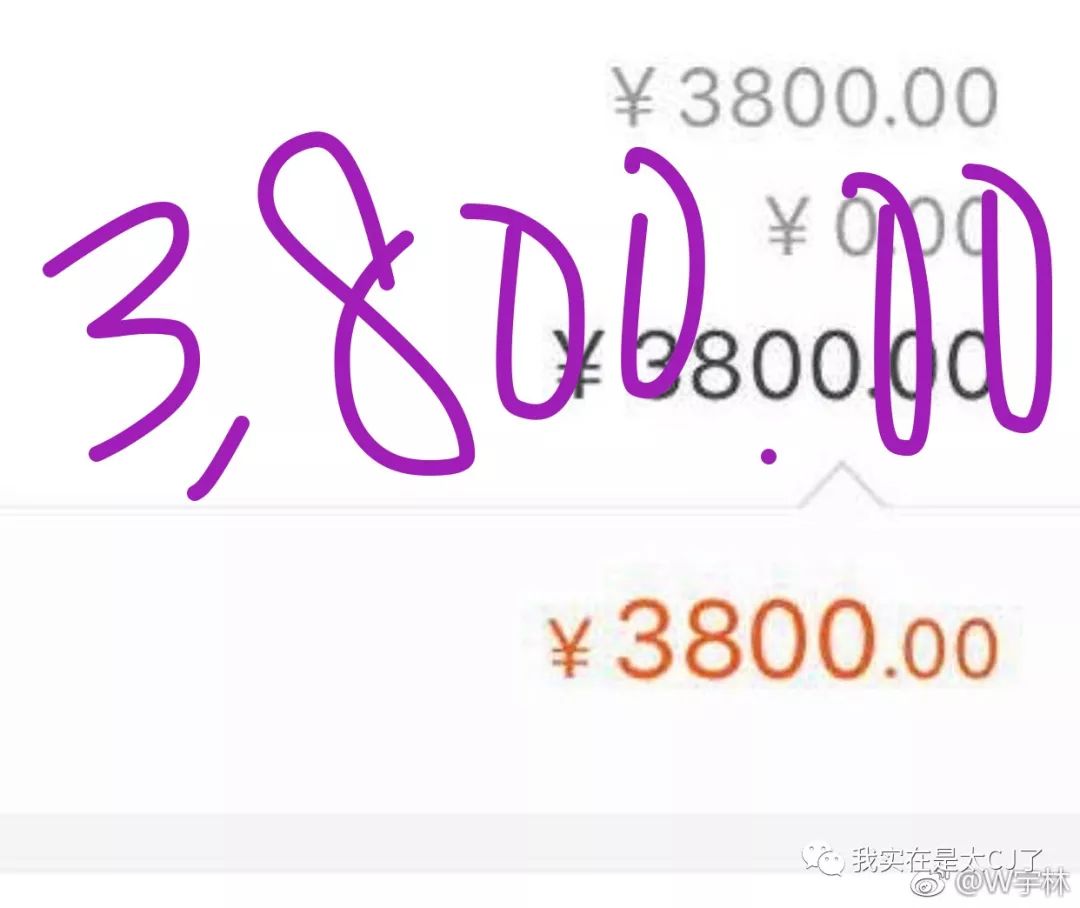 没想到是以这样的形式上了热搜