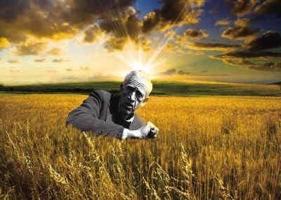 麦田里的守望者原创视频,麦田里的守望者创作的原声