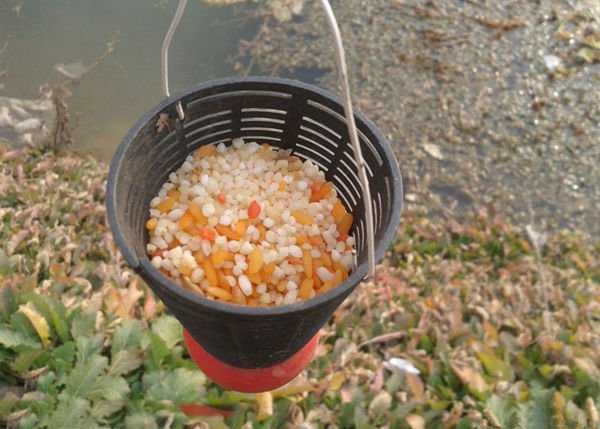 长竿短线钓鲫鱼技巧怎么抛竿,野钓长竿短线钓法