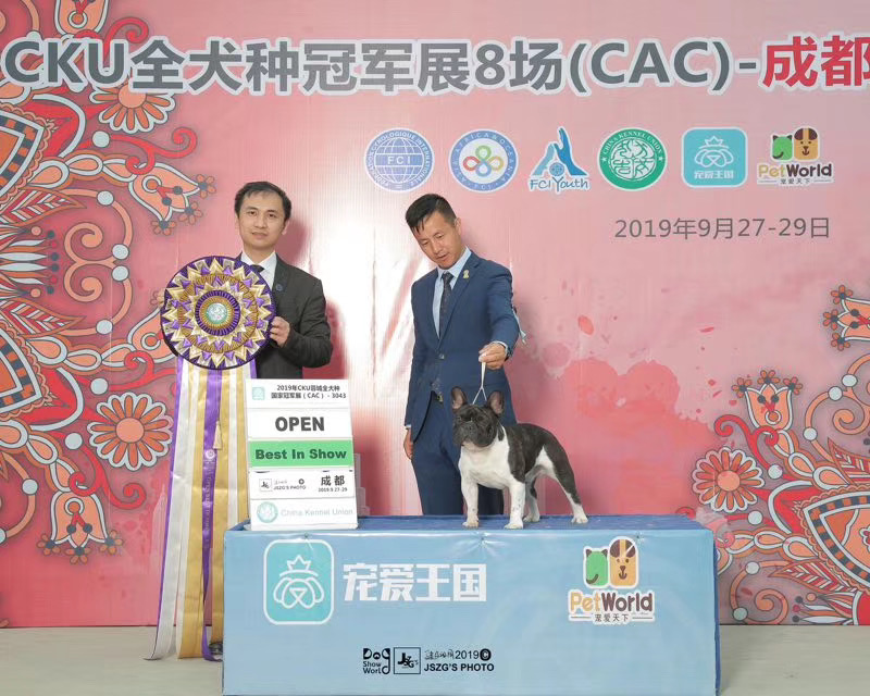 中国法斗犬舍,中国知名法斗犬舍