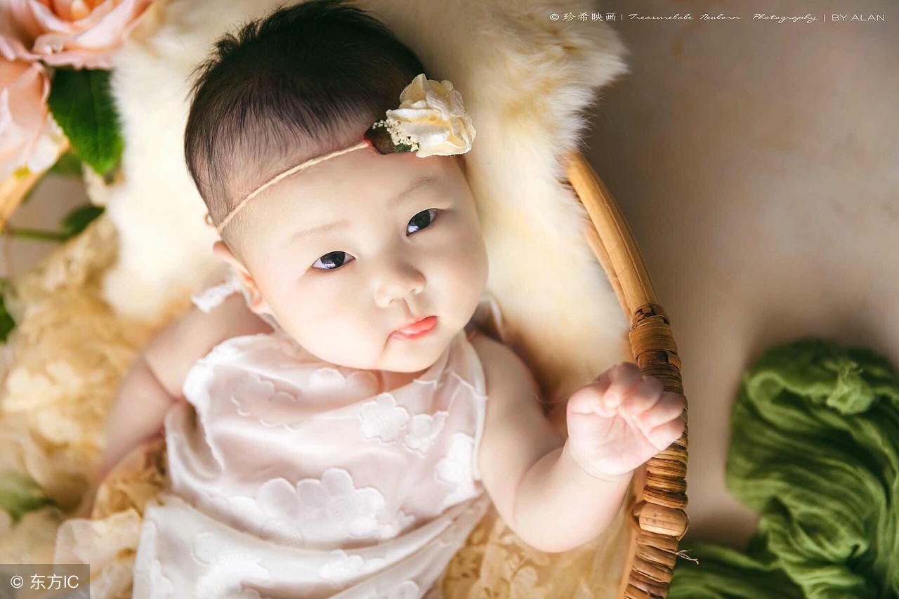 2019猪年女孩起名带桐 (何欣茜2019猪年女孩名字)