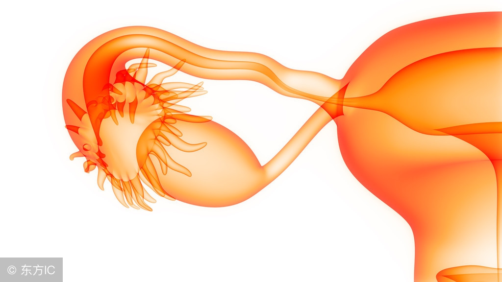 女性卵巢不排卵会影响怀孕吗,老是不受孕怎么回事