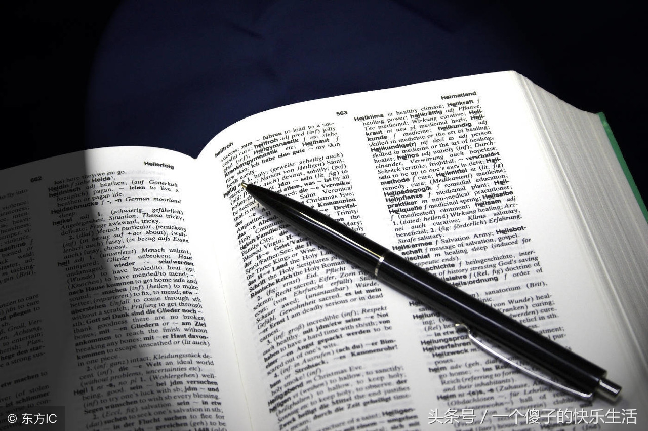 小学语文知识重点句型归纳,小学语文过渡语100个常用句型