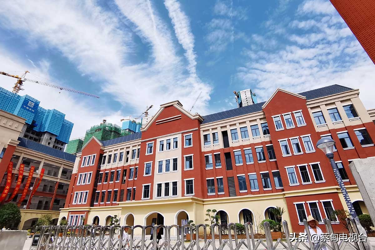 蔡甸小学开学名单,蔡甸学校什么时候正常开学