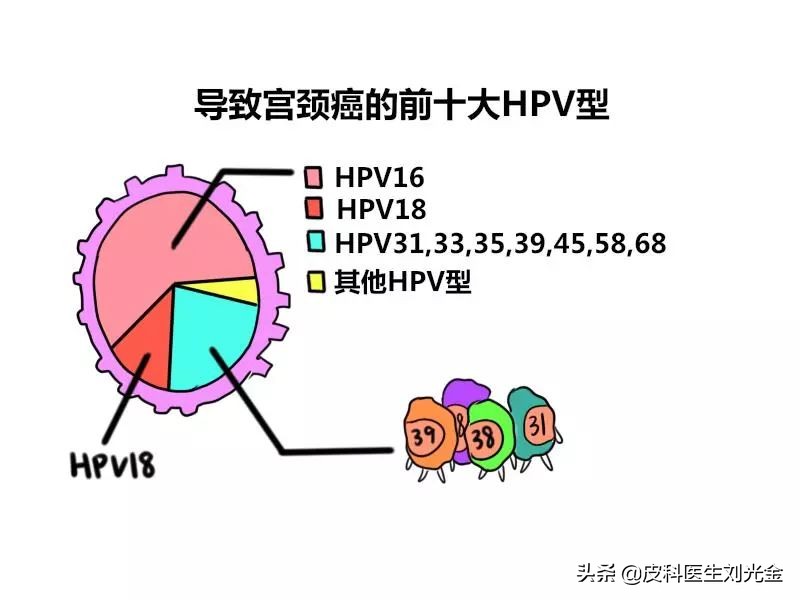 感染了HPV，应该知道哪些问题？