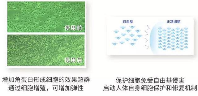 大长今宋慧乔金喜善,大长今金喜善宋慧乔