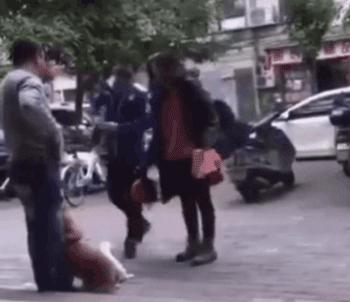 养狗的正确方法和建议,关于养狗的基本知识和方法