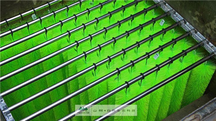 鱼池过滤刷作用,鱼池过滤解析