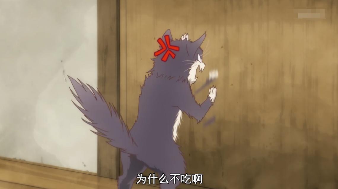 治愈系动漫新番猫猫,1月新番动漫因狗而幸福