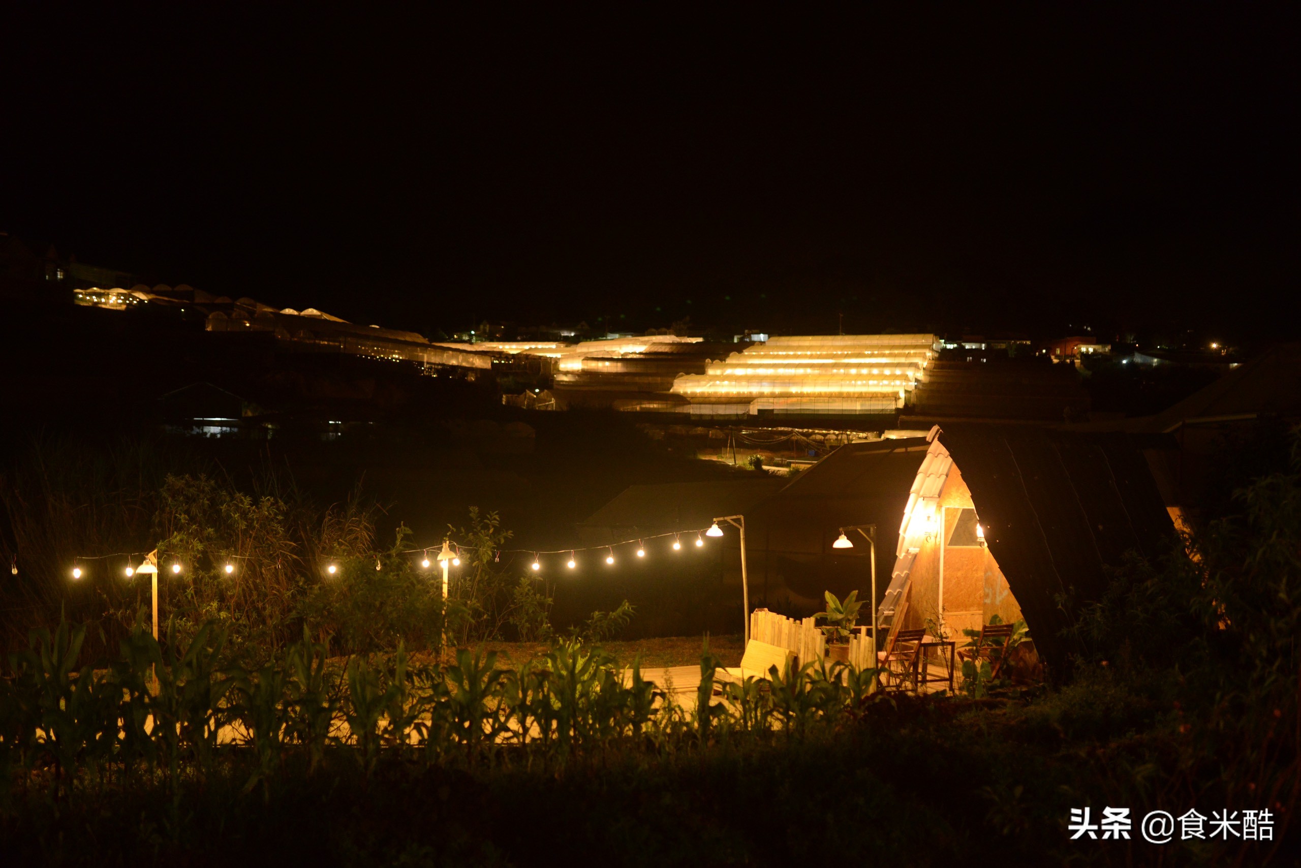 女孩辞去高薪工作做家政,辞掉工作到岛上开民宿