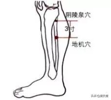 夏天艾灸该艾灸哪几个位置,又到了艾灸的季节