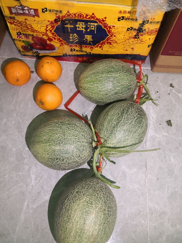 定居新疆的四川人,定居海南需要什么