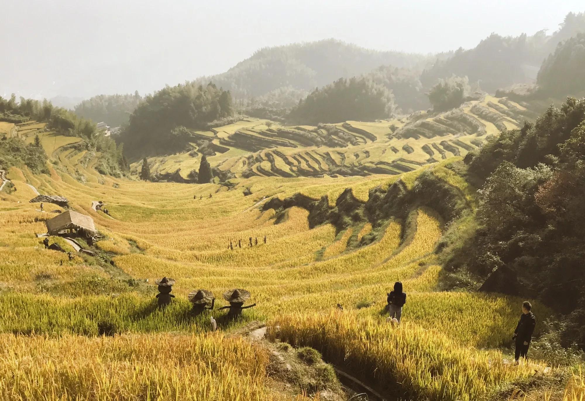 致敬国家科技进步一等奖作文,一等奖全国作文江苏