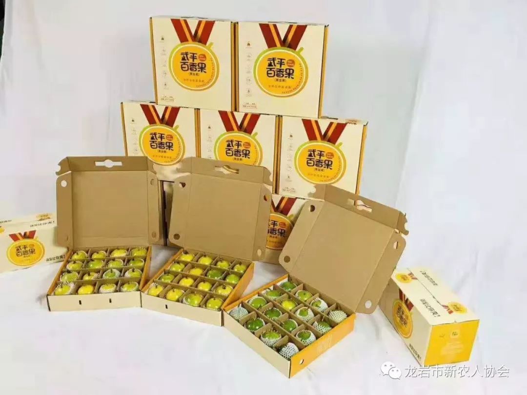 带你走进农村新民居,今日头条龙岩新农人