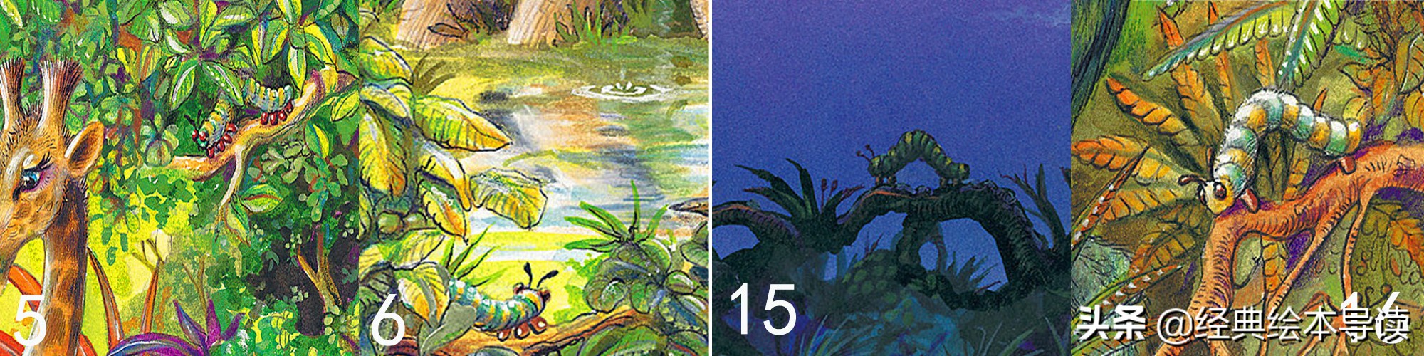 “弱势”与卑微生命的愿望——《阿吉的许愿鼓》导读