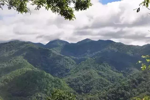 一个爱茶之人不能不去的地方,爱茶之人必去的九大茶区