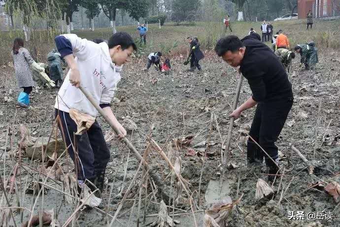 城北最美中学,城北最好的中学