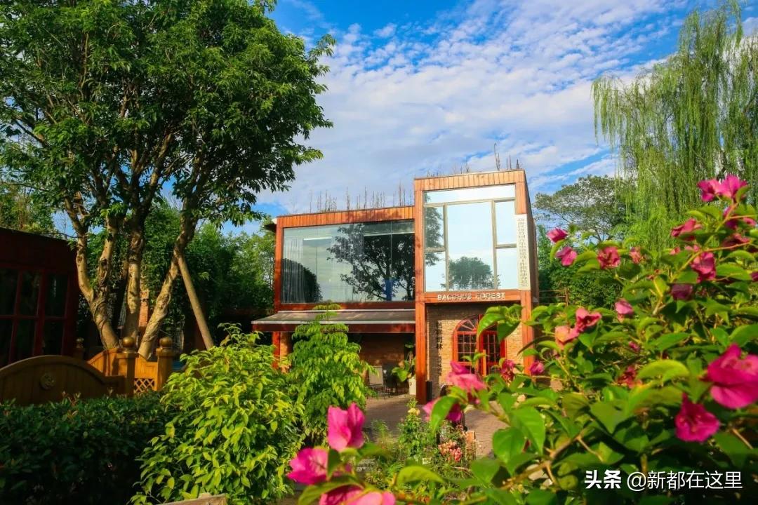 周末新都耍了一圈，朋友都以为我出了趟国