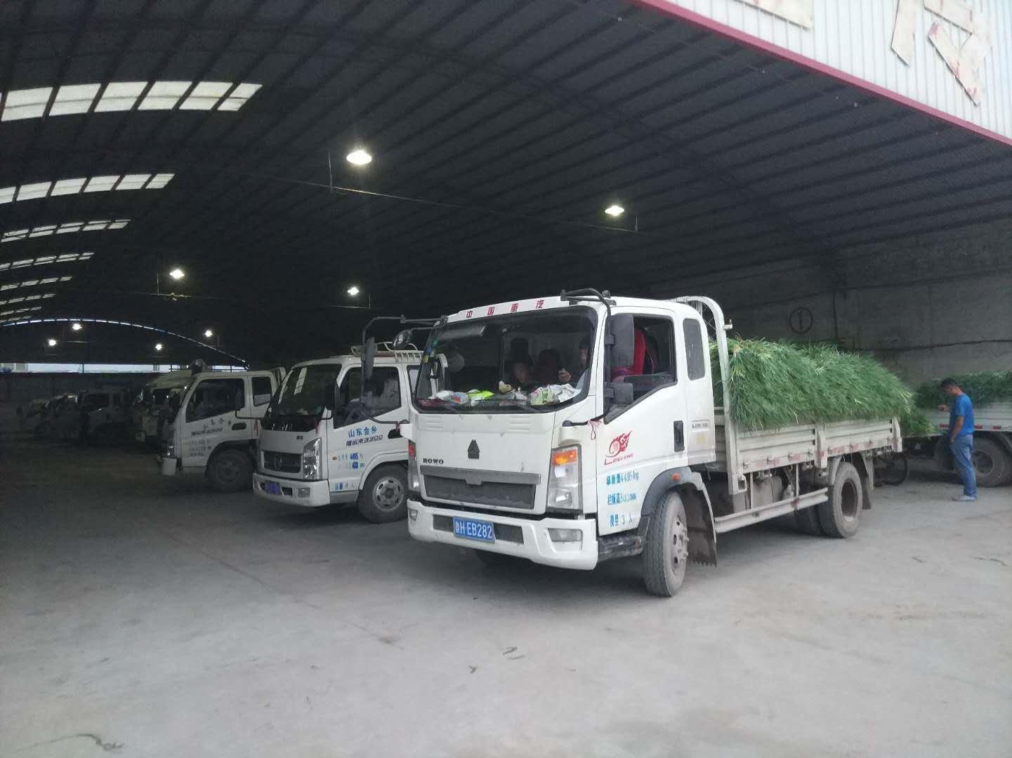 山东小伙初中毕业卖大蒜,没学历没背景,却能开公司年入千万