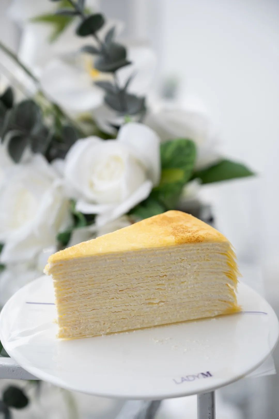 ladym款式,ladym新品牌