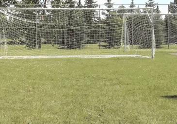 足球基本功训练停球,小学生足球基本功训练停球