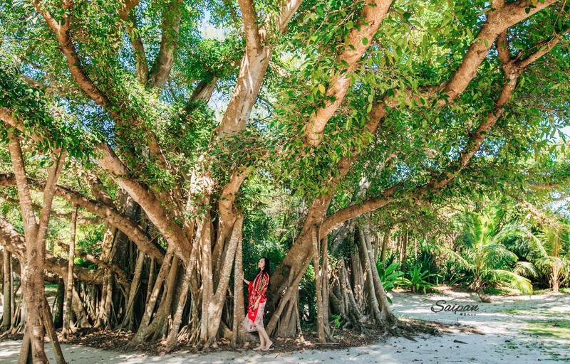 神秘的北纬15度遇见最美塞班