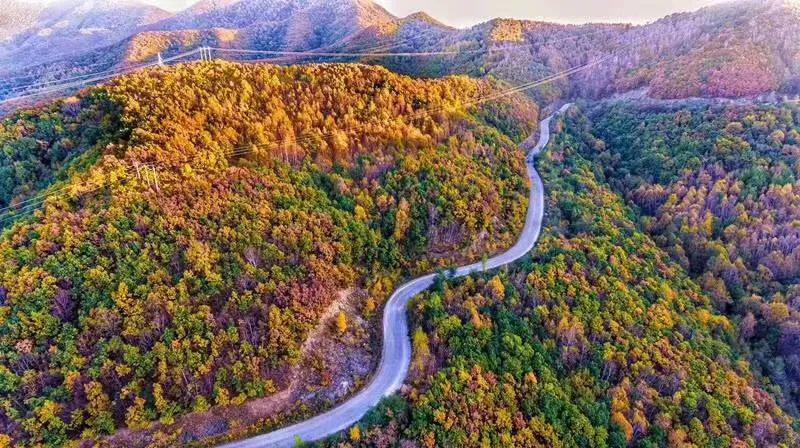 电商风云刘强东,电商风云陈年